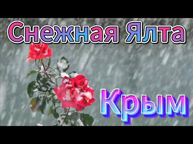 ▶️ СМОТРИТЕ какая бывает Ялта ЗИМОЙ / Крым в СНЕГУ / Жизнь в Ялте