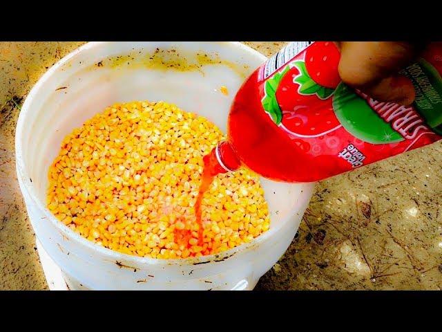 Best Homemade Hog Hunting Bait | DIY