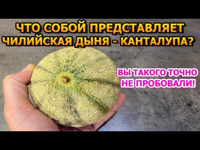 АЖ ПАЛЬЧИКИ ОБЛИЖЕШЬ! ВПЕРВЫЕ попробовал Дыню - Канталупа!