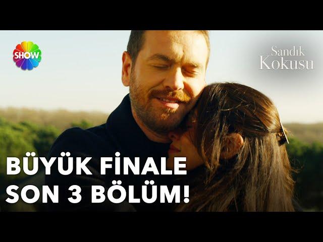 Sandık Kokusu'nun büyük finaline son 3️⃣ bölüm⌛