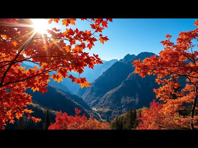 Dreams in Harmony Violin Piano Duets with Breathtaking Fall Landscapes vol1