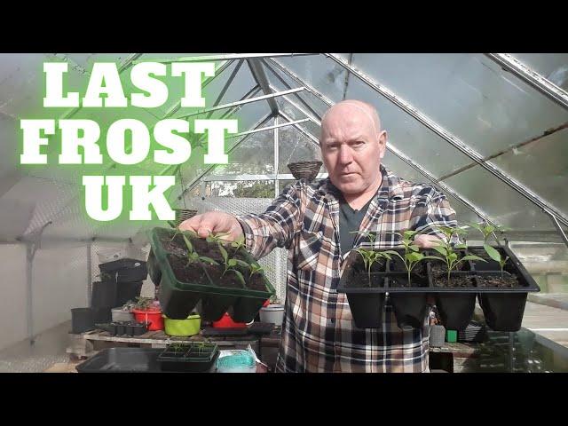 Last Frost UK [Gardening Allotment UK] [Grow Vegetables At Home ]