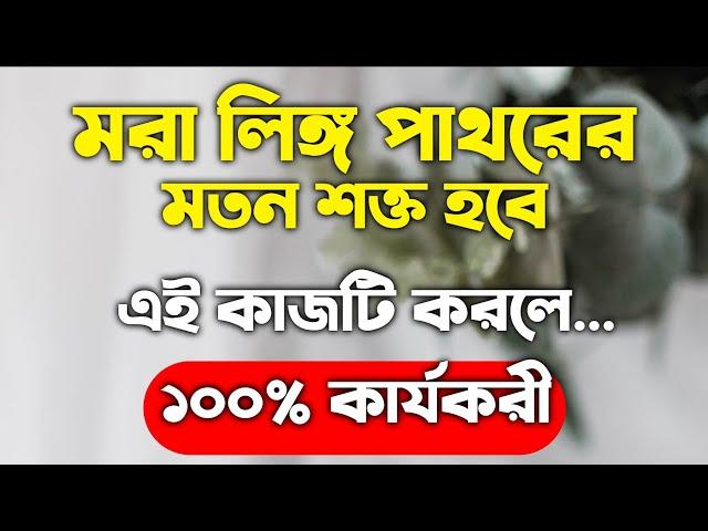 মরা লিঙ্গ ইটের মতন শক্ত হবে এই খবর খেলে | কি করলে বেশিক্ষণ সহবাস করা যায় | সহবাস করার ইসলামী নিয়ম