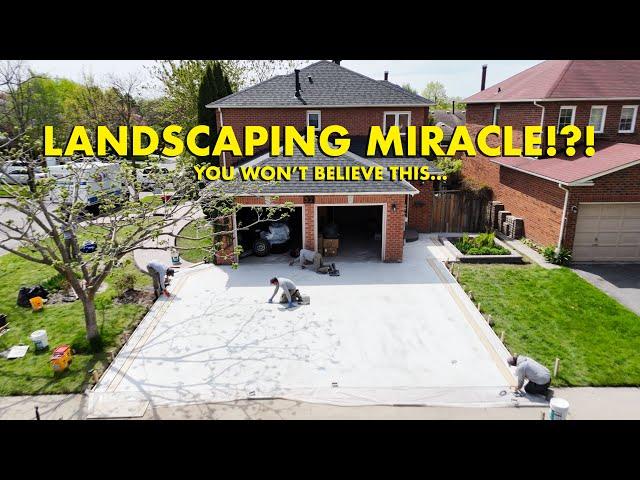 Complete Landscaping Transformation..Client Couldn't Believe it!?!