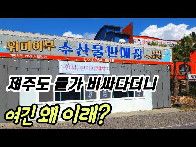 누가 그랬니?  제주도에서 비싸서 회먹기 겁난다고~ 가성비 항구를 찾았습니다.