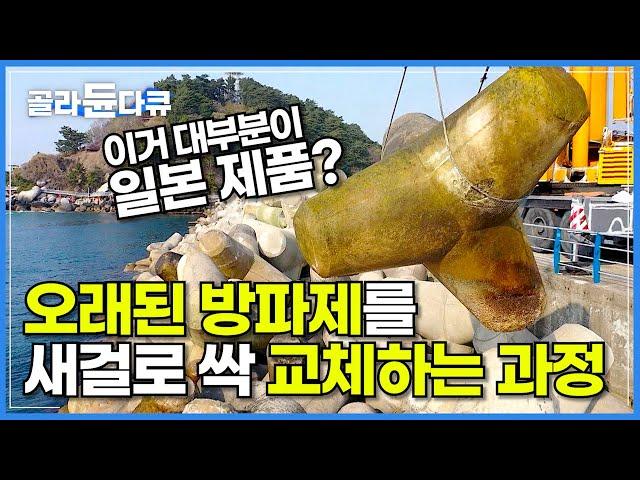 알고 계셨나요? 우리가 아는 흔한 방파제 돌이 대부분 일본 제품이라는 사실!│국산 테트라포드 교체 작업 현장│생산부터 설치까지! 안전 테트라포드의 모든 과정│극한직업│#골라듄다큐