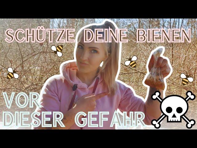 Futterkranzprobe in der Imkerei: So schützt du deine Bienen vor AFB!