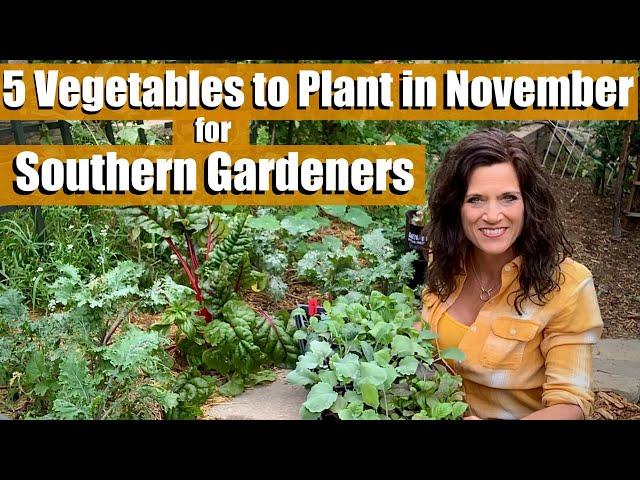 5 Vegetables to Plant in November for Southern Gardeners - It’s Not Too Late! ‍