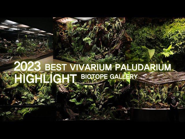 BIOTOPE GALLERY 2023 BEST VIVARIUM PALUDARIUM HIGHLIGHT | 비오토프 갤러리 2023 베스트 비바리움 팔루다리움 하이라이트 모음