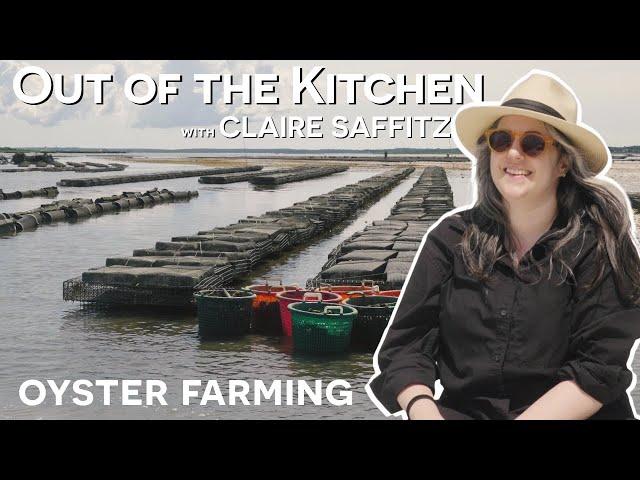 OYSTER FARM TOUR WITH CLAIRE SAFFITZ | OUT OF THE KITCHEN