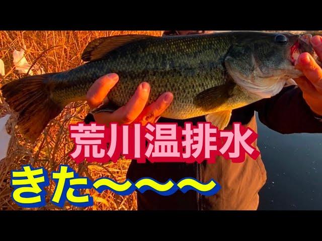 衝撃！ 荒川 ビッグベイト 温排水 バス釣り おかっぱり