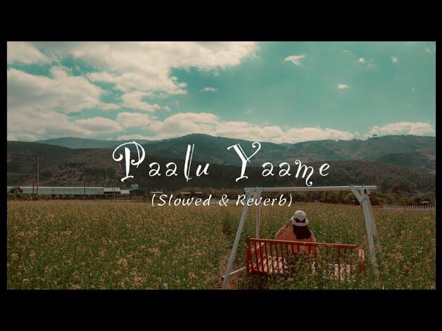 Paalu Yaame(පාළු යාමේ) |Slowed&Reverb| Iman Fernando|Ma Sonduriya Penamane #slowedandreverb #sinhala