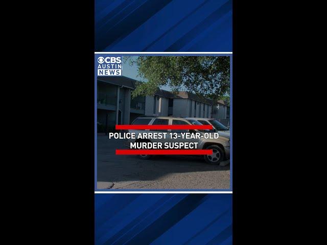 Juvenile violence on the rise in North Austin neighborhood