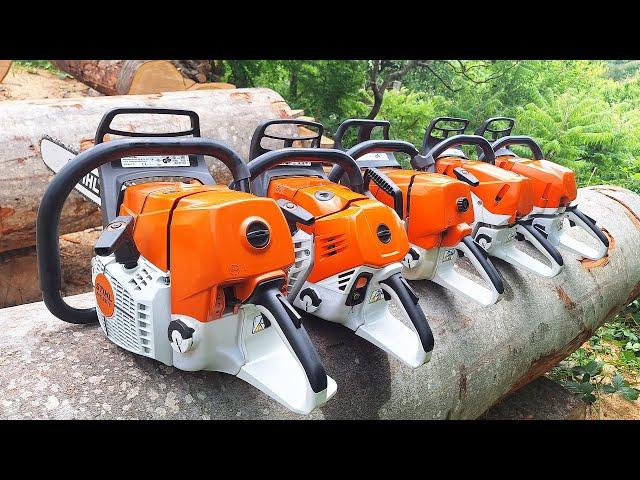 Stihl MS 661 vs. 500i vs. 462 vs. 461 vs. 400c  (same bar & chain)