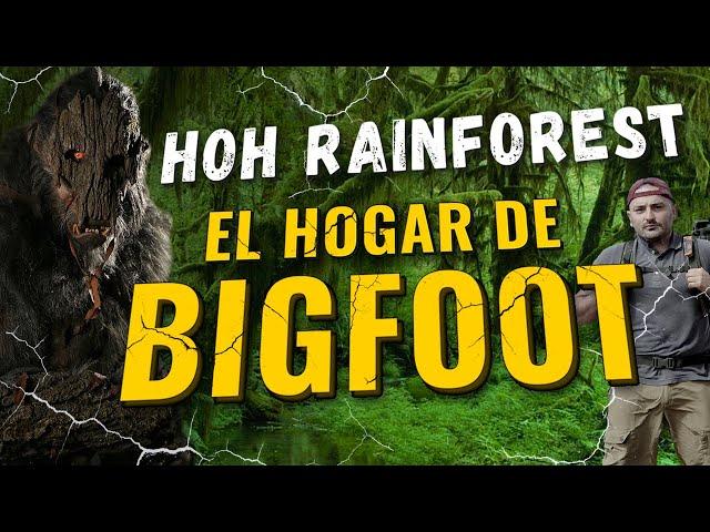 07.- Hoh Rainforest - El hogar de Bigfoot [NATURALEZA DE NORTEAMÉRICA]