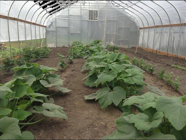 Alaska Garden,NRCS High Tunnel Program