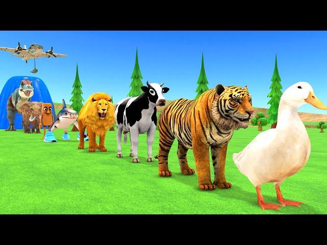 Paint Animals Duck,Tiger,Cow,Lion,Shark,Tung Tung Tung Sahur,Elephant,Dinosaur Fountain Crossing