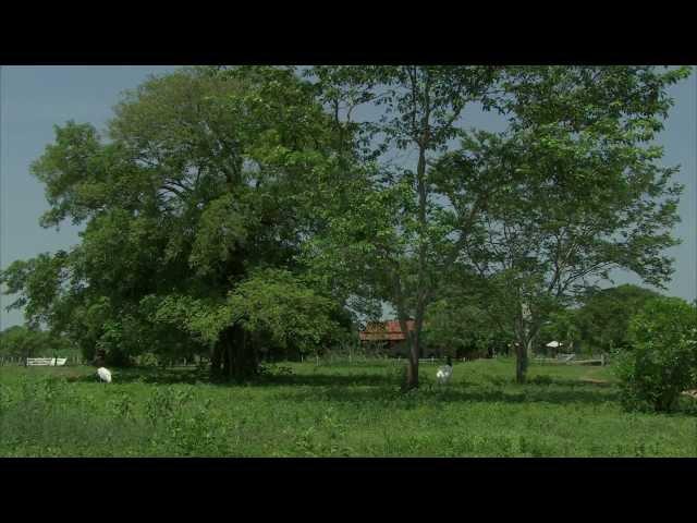 SouthWild Pantanal Lodge