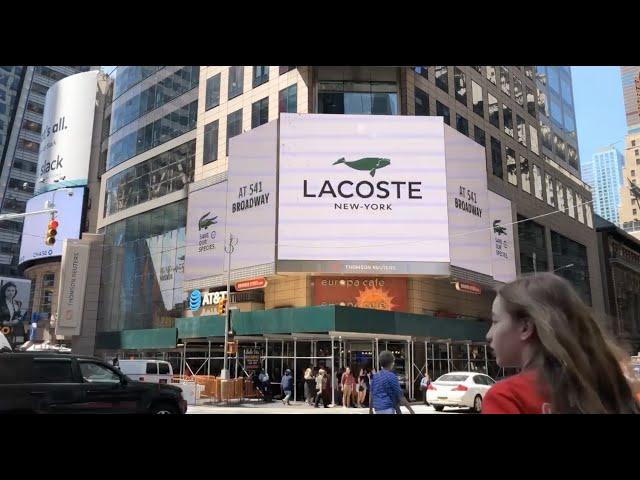 Lacoste - Crocodile Free  (case study)