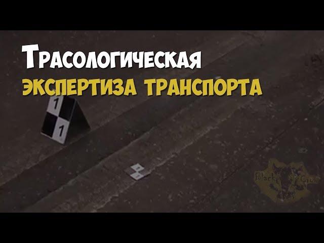 Криминалистика. Трасологическая экспертиза автомобильного транспорта