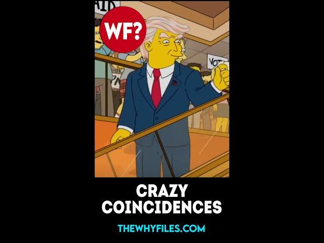 Crazy Coincidences 03 - The Why Files #shorts