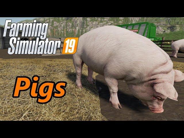 Farming Simulator 19 Tutorial | Pigs