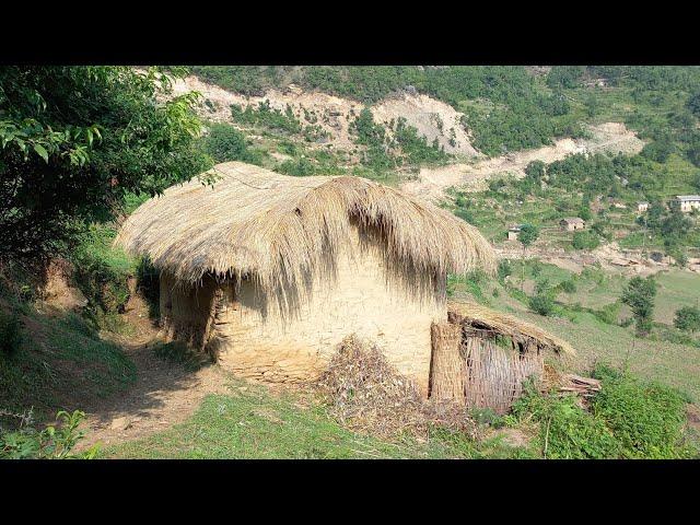 Beautiful And Naturally Richest Nepali Village Lifestyle | Daily Life of Village | VillageLifeNepal