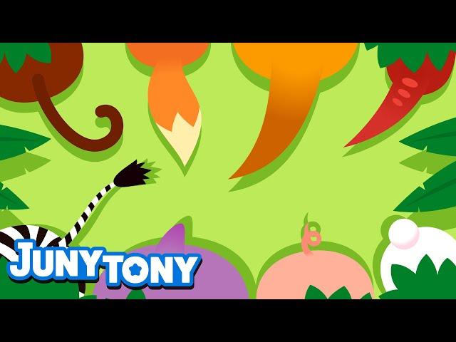 Tail, Tail, My Tail | Animal Song for Kids | Did You Ever See My Tail? | Kids Song | JunyTony