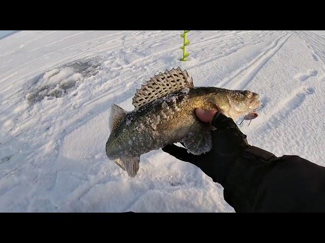 Лучшие Вибы и Ратлины на Судака.Полный обзор приманок