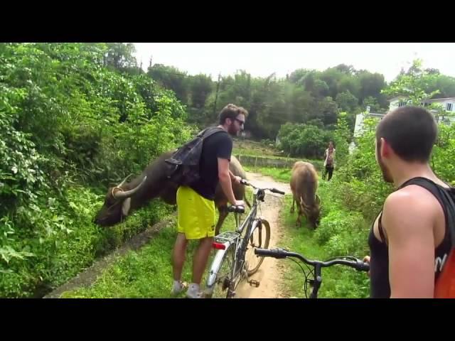 Biking in Yangshuo, China | Location Rebel