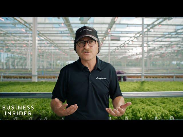 One Of The World’s Largest Indoor Farms Is Using Advanced Tech To Build A More Resilient Food System