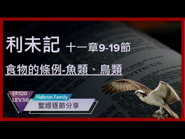 『利未記 第十一章9-19節 食物的條例-魚類、鳥類_潔淨的指示』聖經逐節分享第120集 LEV.56 20230724