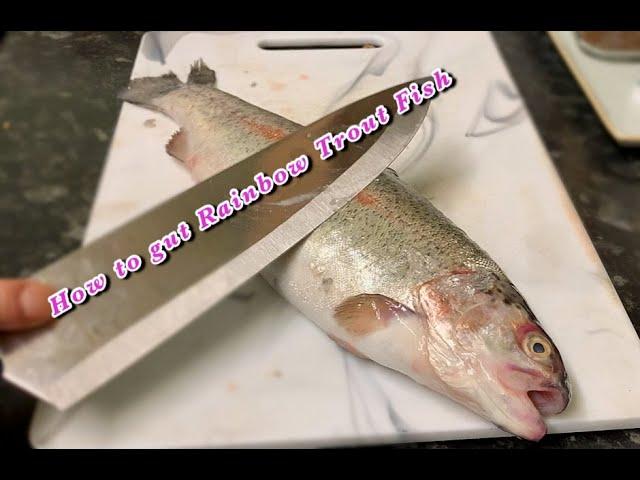 How to clean and gut a Rainbow trout fish | step by step|