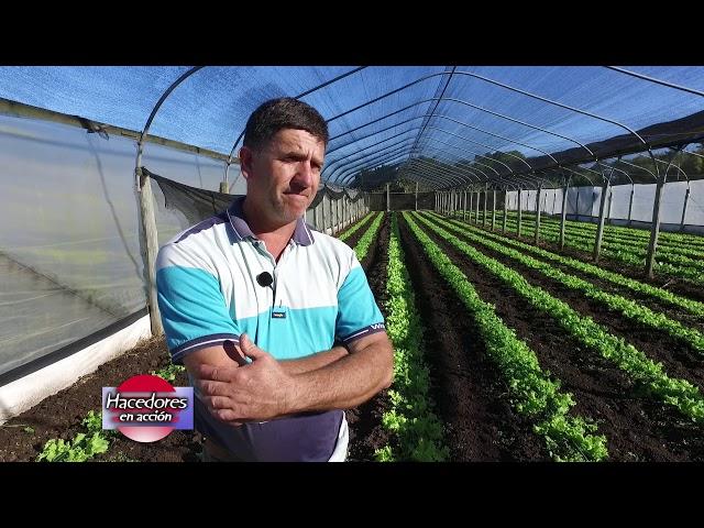 Hortícultura - Producción de verduras de hoja - César Machello