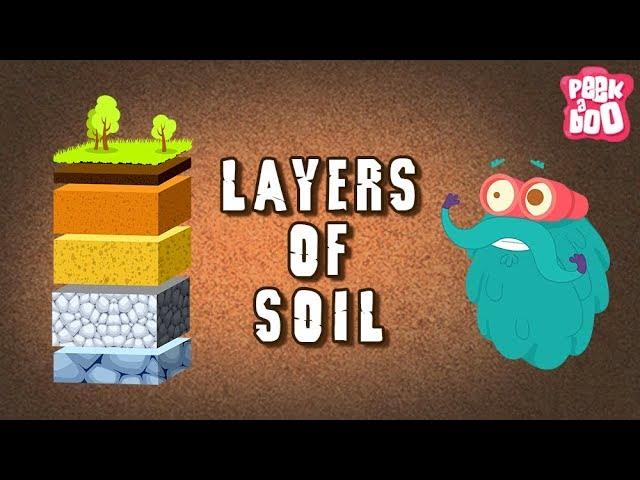 Layers Of Soil - The Dr. Binocs Show | Best Learning Videos For Kids | Peekaboo Kidz