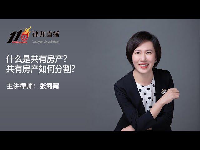 什么是共有房产？共有房产如何分割？