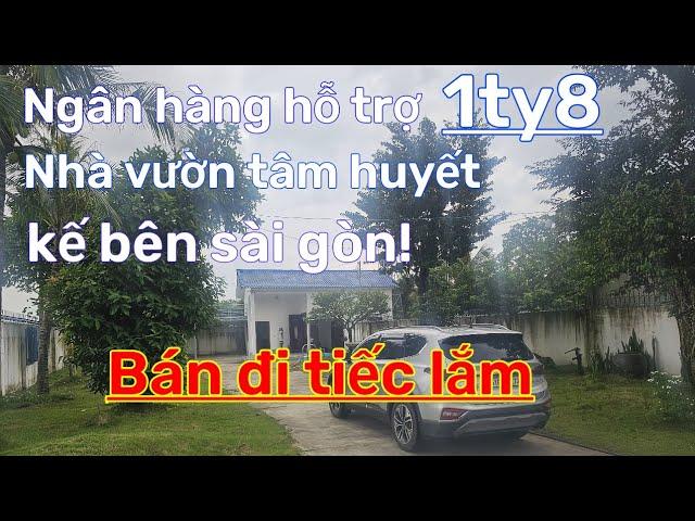 Nhà vườn hồ bơi như này ai mà k mê! làm ăn khó khăn bán đi thì tiếc lắm ở Đồng nai.