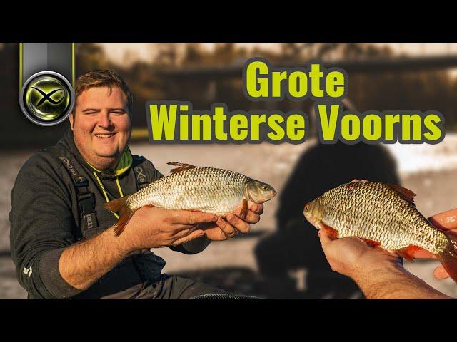 Grote winterse voorns op het kanaal - Juul Slabbers | witvissen