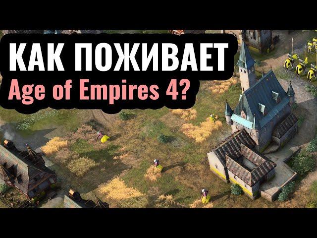 Age of Empires 4 в 2024 году: как поживает игра? Смотрим матчи и сами играем