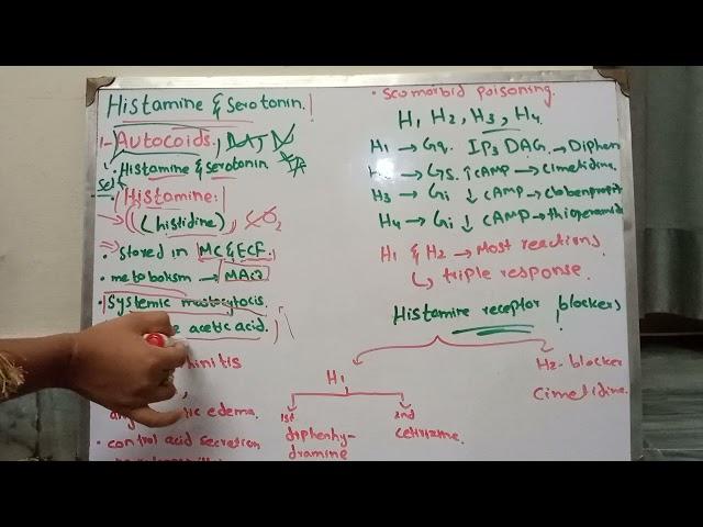 Histamine part 1= Pharmacological and Physiological Actions of Histamine