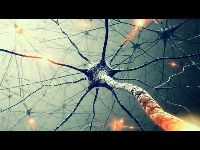 Secrets of consciousness. God is in neurons - [ Theory of Everything by Athene ]