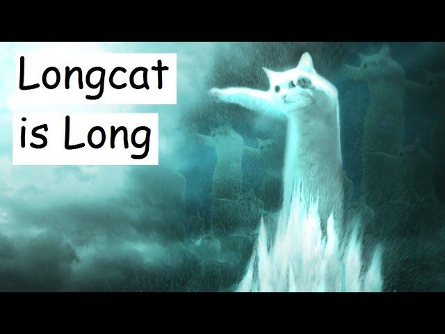 Longcat is Long