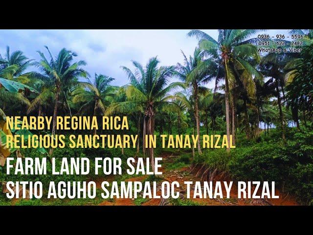 #vlog261 FARM LOT FOR SALE IN TANAY  FARM LAND FOR RETIREMENT #farmlotforsaleinphilippines #farmlot