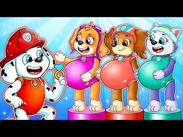 OMG...! Brewing Cute Pregnant & Baby Factory - Paw Patrol The Mighty Movie - Rainbow 3