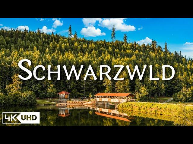 Schwarzwald 4K - Autumn Serenity: Stunning Forest Views with Piano Music - Video 4K UHD