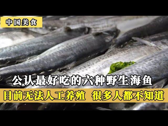 公认最好吃的6种野生海鱼，目前无法人工养殖，你吃过几种呢？