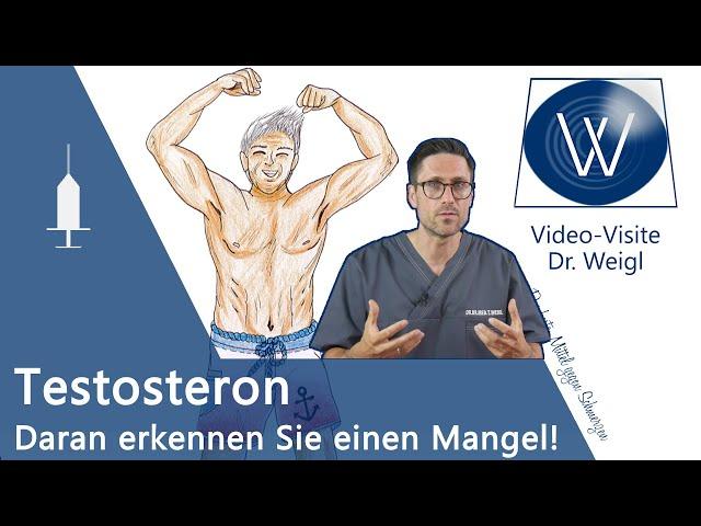 Testosteron: Jetzt aufpassen  Testosteronmangel erkennen & beheben | Wichtige Funktionen 