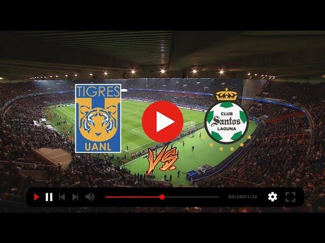 Santos VS Tigres Copa Sky Mexico 2022 EN VIVO