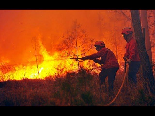 Forest fire rages in Portugal