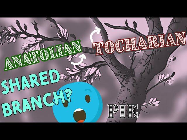 Tocharian and Anatolian – Do They Form Their Own Branch on the Indo-European Tree? 